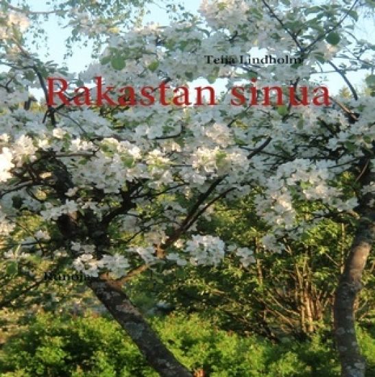 Rakastan sinua
