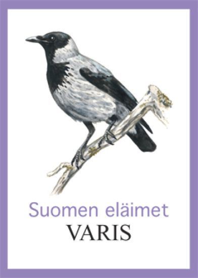 Varis