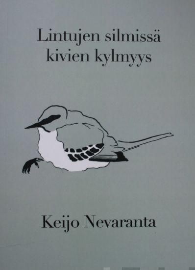 Lintujen silmissä kivien kylmyys