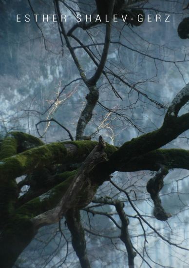 Esther Shalev-Gerz