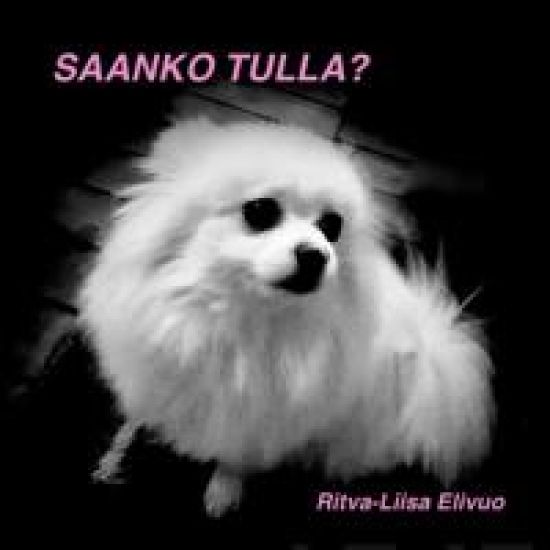 Saanko tulla? (MP3-cd)