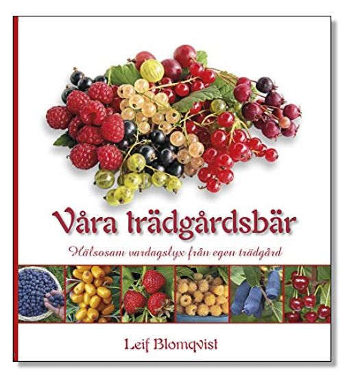 Våra trädgårdsbär