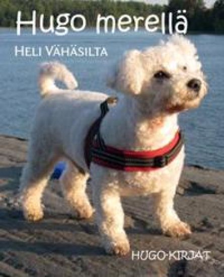 Hugo merellä