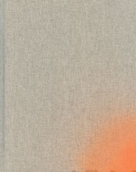 Tarja Pitkänen-Walter - Maalauksellisia mietteitä ; Måleriska meditationer ; Painterly Meditations