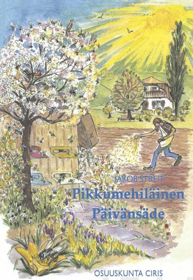 Pikkumehiläinen Päivänsäde
