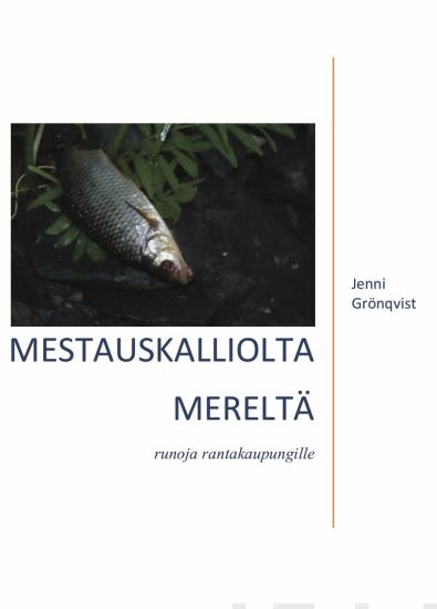 Mestauskalliolta mereltä