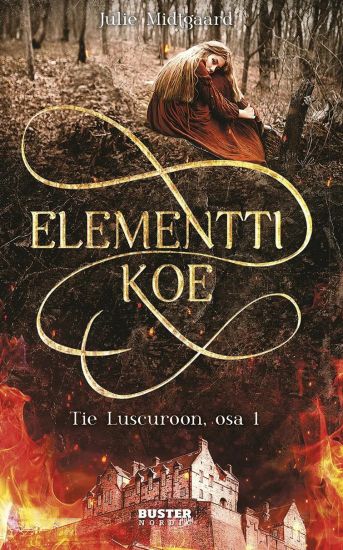 Kansikuva: Elementtikoe