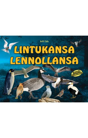 Kansikuva: Lintukansa lennollansa
