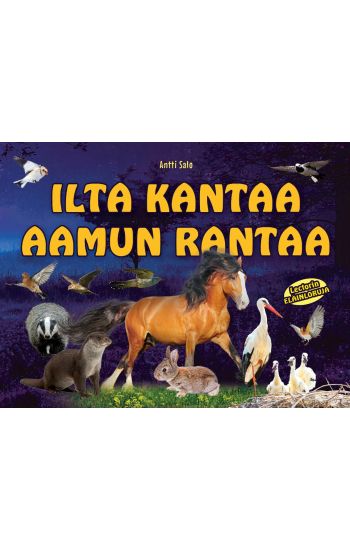 Kansikuva: Ilta kantaa aamun rantaa