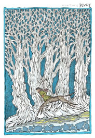 Kansikuva: Kivet