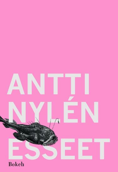 Kansikuva: Esseet