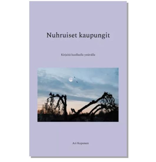 Nuhruiset kaupungit
