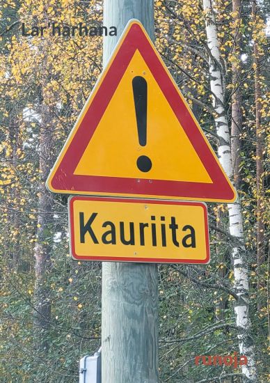Kansikuva: Kauriita
