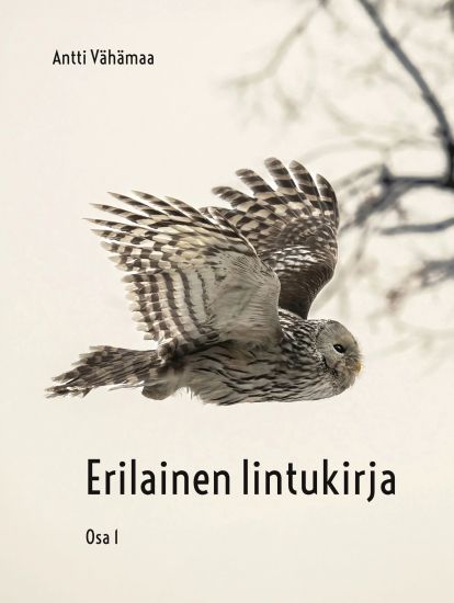 Kansikuva: Erilainen lintukirja