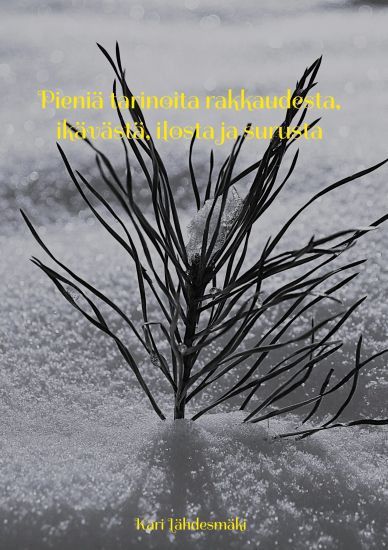 Pieniä tarinoita rakkaudesta, ikävästä, ilosta ja surusta