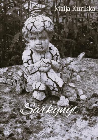 Kansikuva: Särkynyt