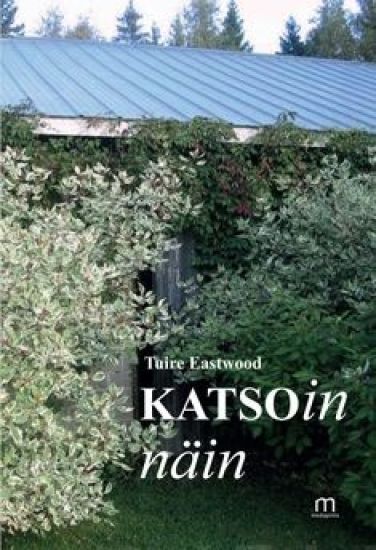 Katsoin näin