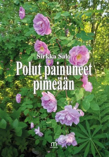 Polut painuneet pimeään