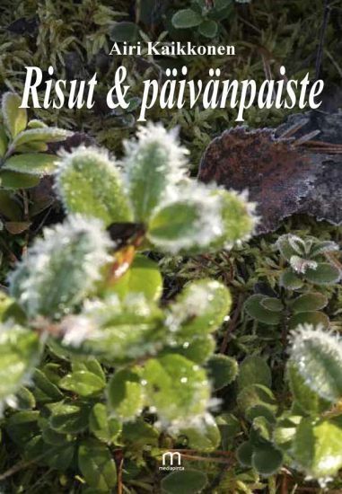 Kansikuva: Risut & päivänpaiste