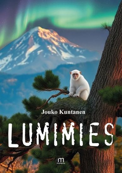 Kansikuva: Lumimies