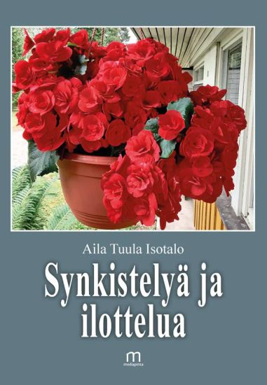 Kansikuva: Synkistelyä ja ilottelua