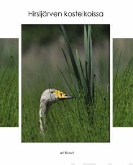 Hirsijärven kosteikoissa