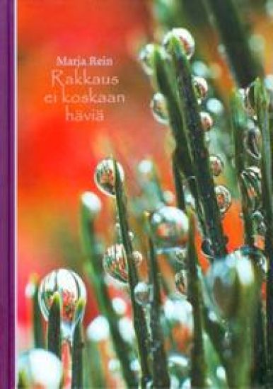 Rakkaus ei koskaan häviä