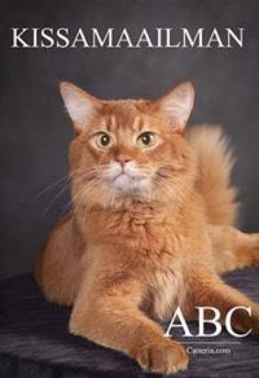 Kissamaailman ABC