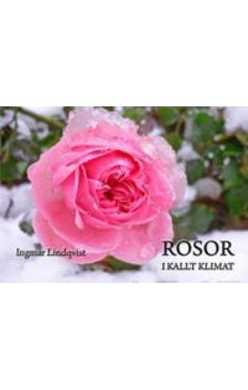Rosor i kallt klimat