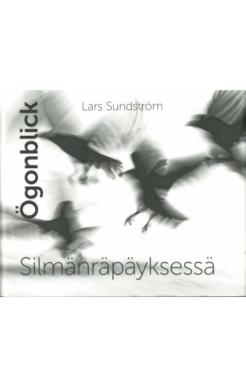 Ögonblick - Silmänräpäyksessä