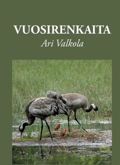 Vuosirenkaita