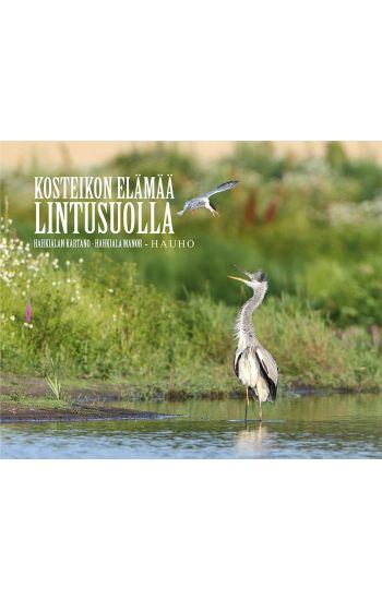 Kansikuva: Kosteikon elämää lintusuolla