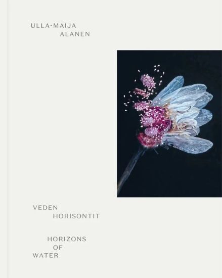 Veden horisontit - Horizons of water
