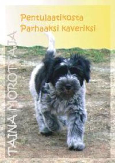 Pentulaatikosta parhaaksi kaveriksi