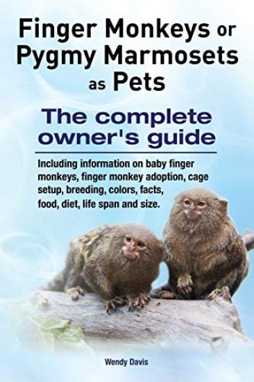 Finger Monkeys or Pygmy Marmosets as Pets. Including information on baby finger monkeys, finger monkey adoption, cage setup, breeding, colors, facts, food, diet, life span and size