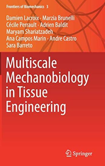 Multiscale Mechanobiology in Tissue Engineering