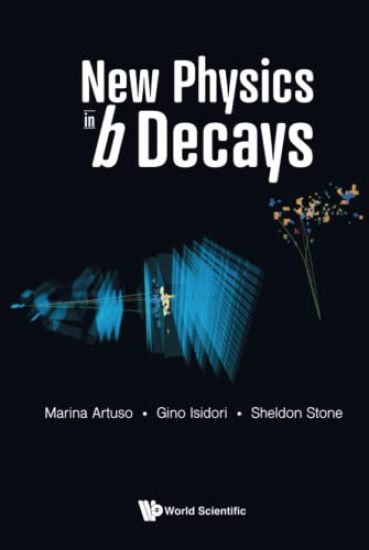 New Physics In B Decays
