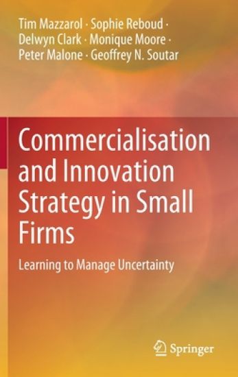 Commercialisation and Innovation Strategy in Small Firms