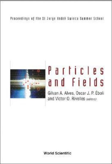 Particles And Fields: Proceedings Of The Xi Jorge Andre Swieca Summer School