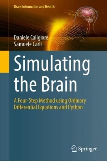 Simulating the Brain