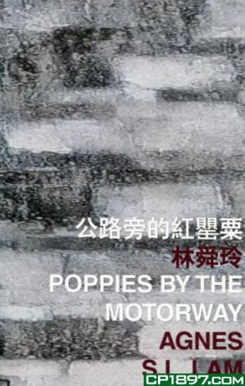 Poppies by the Motorway