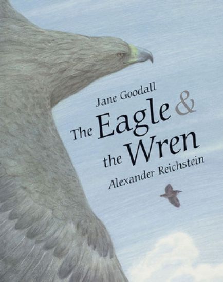 Eagle & The Wren, The