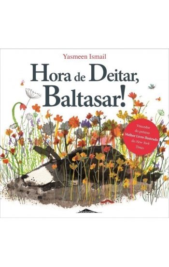 TIME FOR BED FRED CO ED PORTUGAL