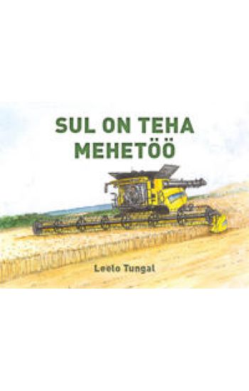 Sul on teha mehetöö