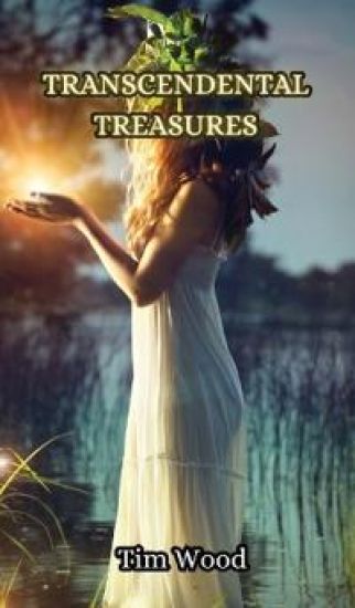 Transcendental Treasures