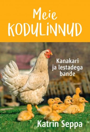 Meie kodulinnud kanakari ja lestadega bande