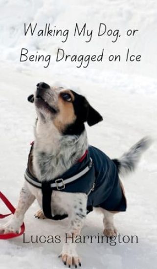 Walking My Dog, or Being Dragged on Ice