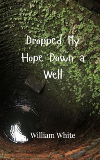 Dropped My Hope Down a Well