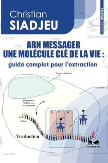Arn Messager Une Molécule CLÉ de la Vie