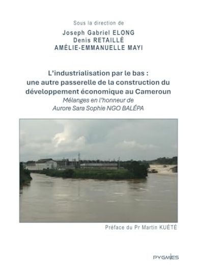 L'industrialisation par le bas